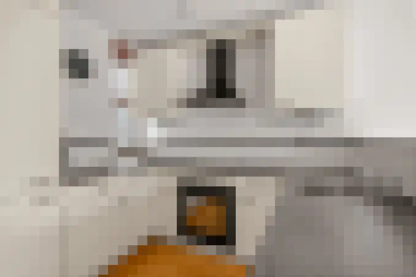 Willem Elsschothove 45 Nieuwegein thumbnail 14