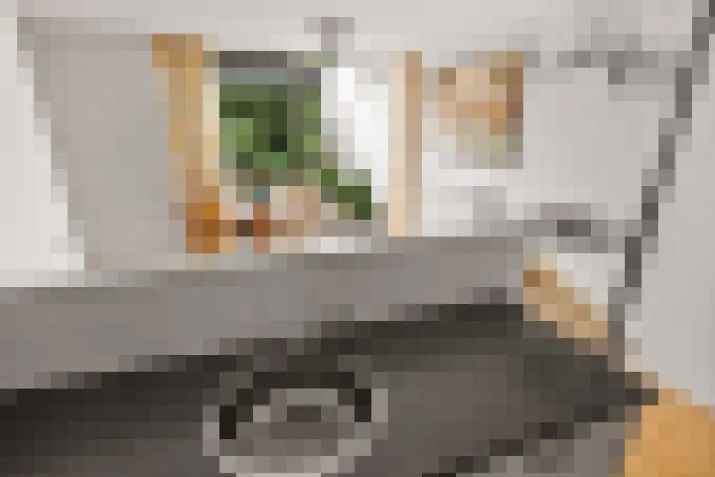 Willem Elsschothove 45 Nieuwegein thumbnail 15