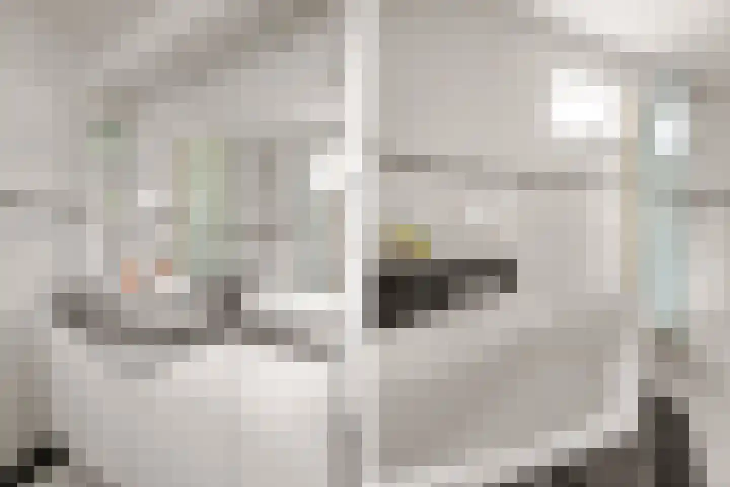 Willem Elsschothove 45 Nieuwegein thumbnail 21