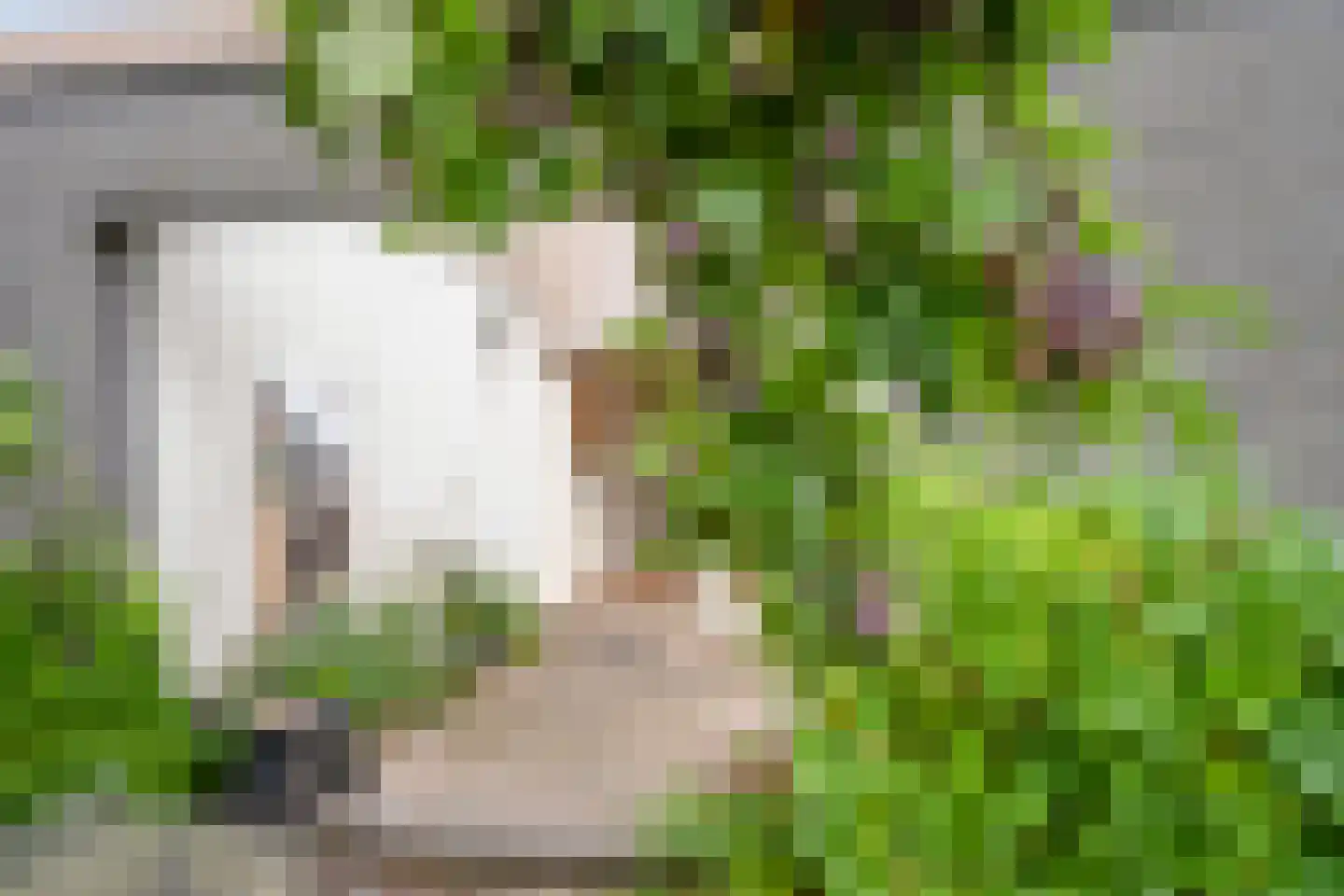 Willem Elsschothove 45 Nieuwegein thumbnail 30