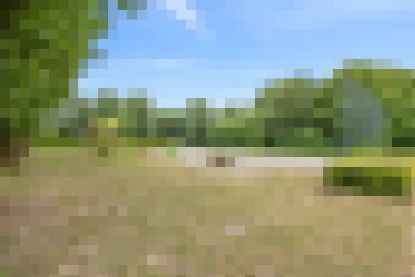 Willem Elsschothove 45 Nieuwegein thumbnail 32