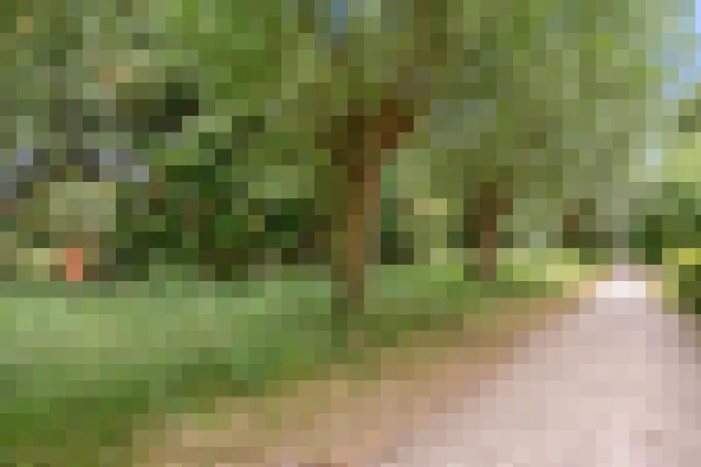 Willem Elsschothove 45 Nieuwegein thumbnail 33