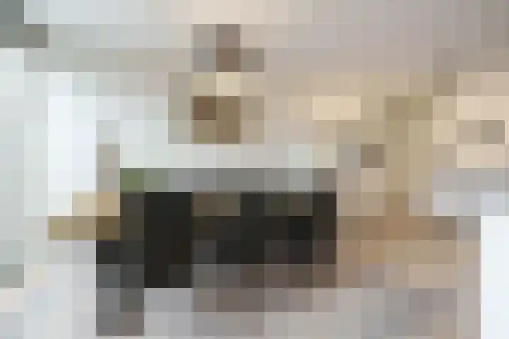 Willem Elsschothove 55 Nieuwegein thumbnail 12