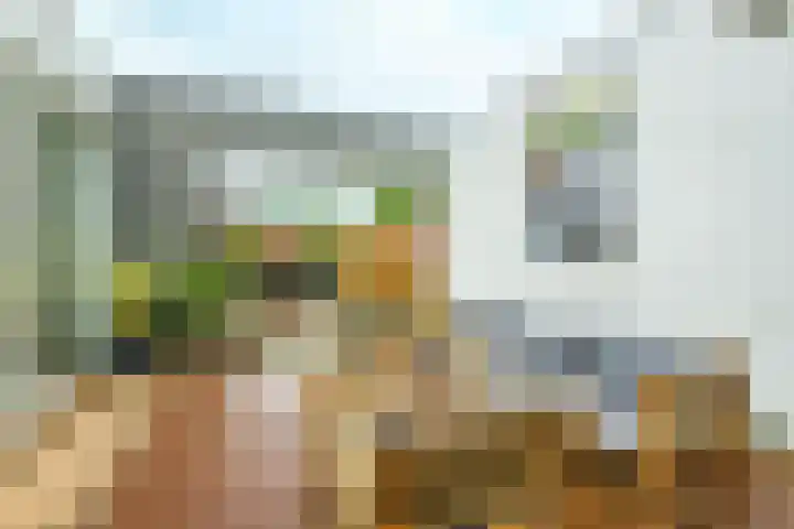 Willem Elsschothove 55 Nieuwegein thumbnail 27