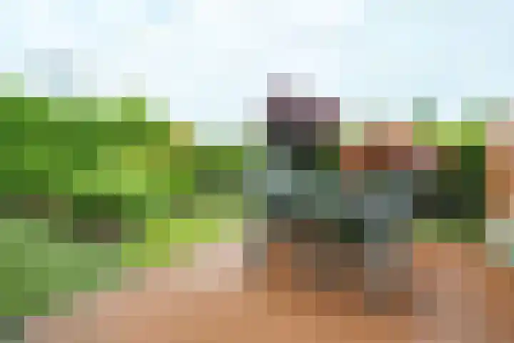 Willem Elsschothove 55 Nieuwegein thumbnail 28