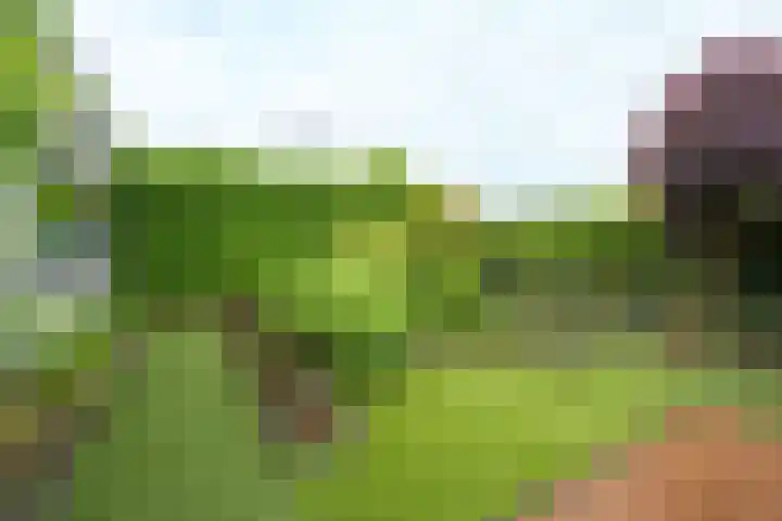 Willem Elsschothove 55 Nieuwegein thumbnail 29