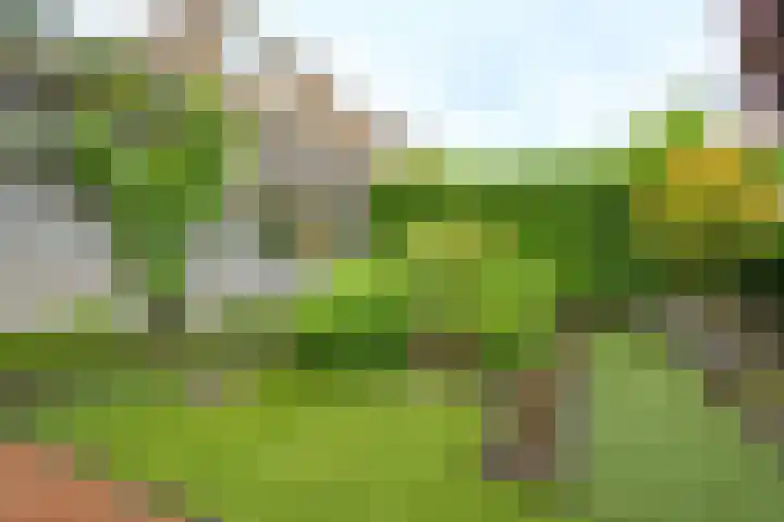 Willem Elsschothove 55 Nieuwegein thumbnail 31