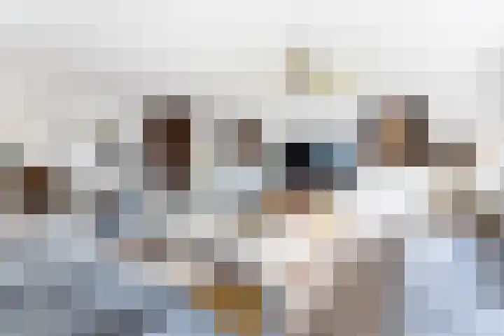 Willem Elsschothove 59 Nieuwegein thumbnail 10