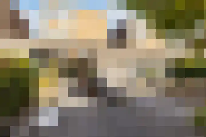 Willem Elsschothove 59 Nieuwegein thumbnail 23