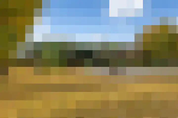 Willem Elsschothove 59 Nieuwegein thumbnail 38