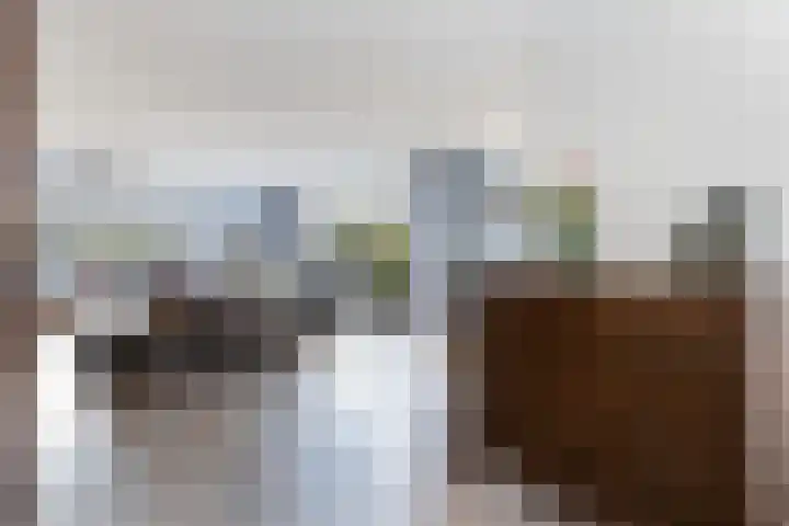 Willem Elsschothove 59 Nieuwegein thumbnail 9