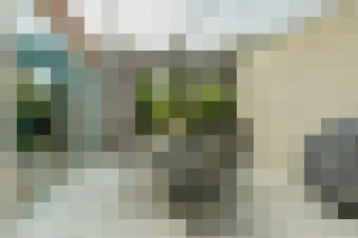 Willem Elsschothove 63 Nieuwegein thumbnail 16
