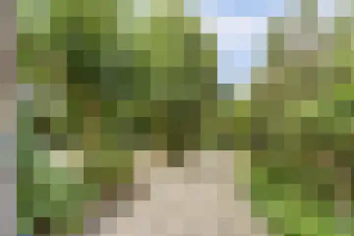 Willem Elsschothove 63 Nieuwegein thumbnail 17