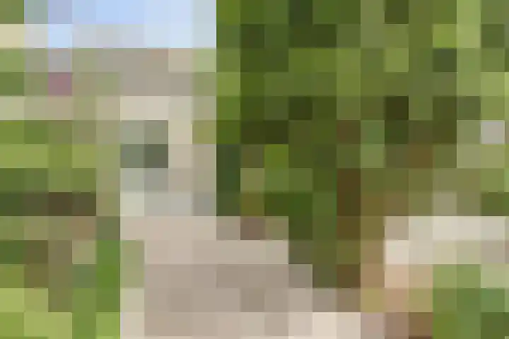 Willem Elsschothove 63 Nieuwegein thumbnail 18