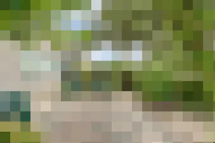 Willem Elsschothove 63 Nieuwegein thumbnail 19