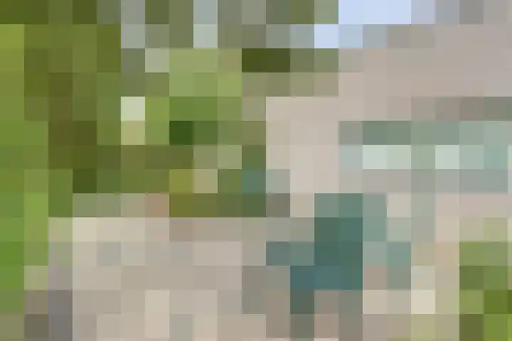 Willem Elsschothove 63 Nieuwegein thumbnail 20