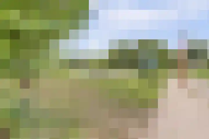 Willem Elsschothove 63 Nieuwegein thumbnail 41