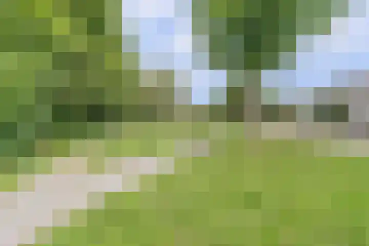 Willem Elsschothove 63 Nieuwegein thumbnail 42