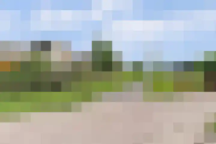 Willem Elsschothove 63 Nieuwegein thumbnail 43
