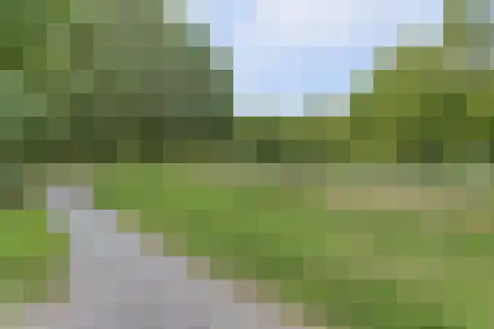 Willem Elsschothove 63 Nieuwegein thumbnail 44