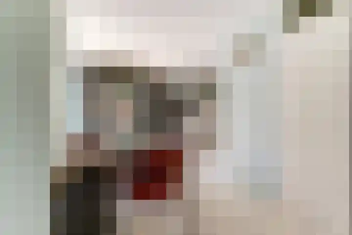Willem Elsschothove 63 Nieuwegein thumbnail 5