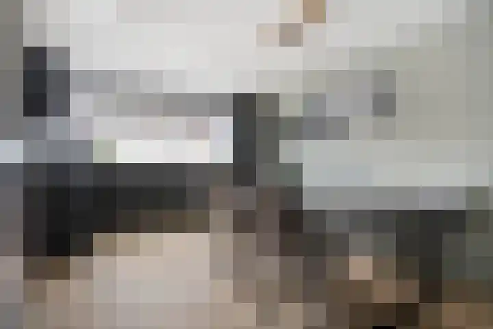 Willem Elsschotlaan 5 Roosendaal thumbnail 11