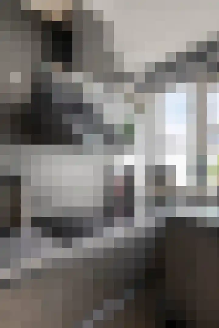 Willem Elsschotlaan 5 Roosendaal thumbnail 13