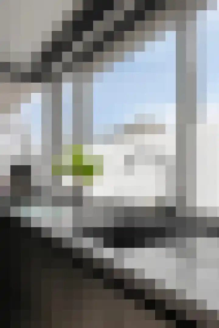 Willem Elsschotlaan 5 Roosendaal thumbnail 14