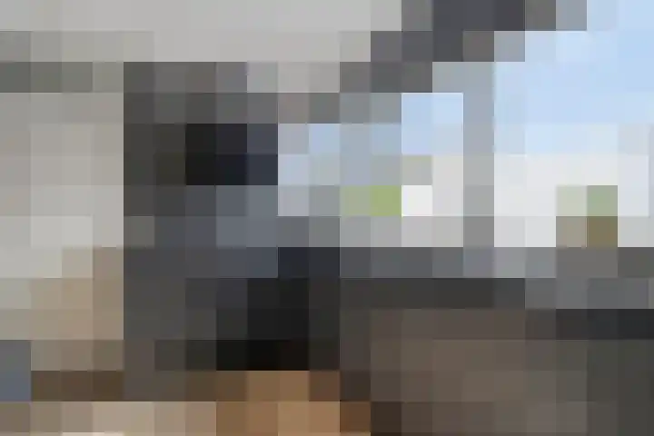 Willem Elsschotlaan 5 Roosendaal thumbnail 15