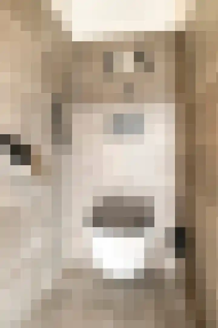 Willem Elsschotlaan 5 Roosendaal thumbnail 17