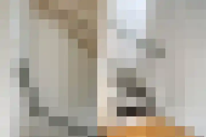 Willem Elsschotlaan 5 Roosendaal thumbnail 19