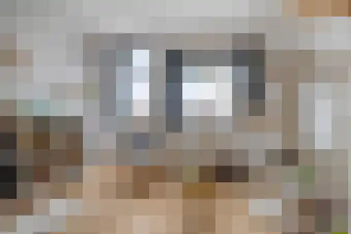 Willem Elsschotlaan 5 Roosendaal thumbnail 24