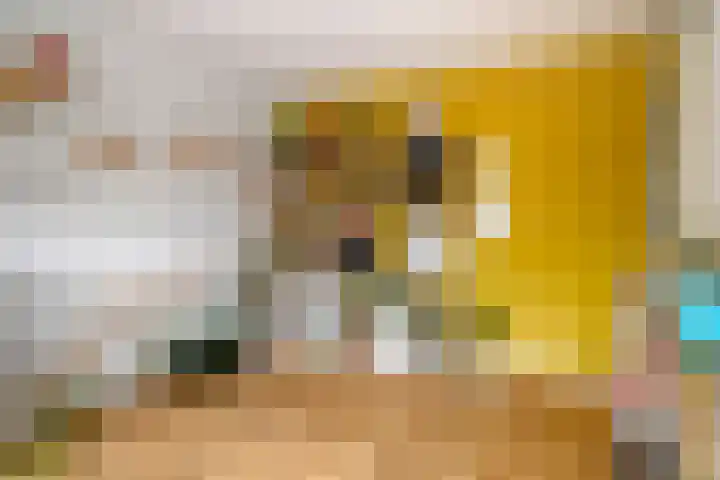 Willem Elsschotlaan 5 Roosendaal thumbnail 25