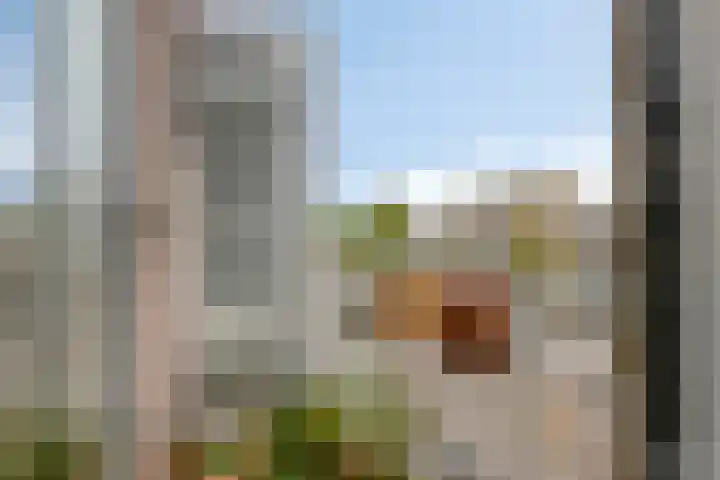 Willem Elsschotlaan 5 Roosendaal thumbnail 26