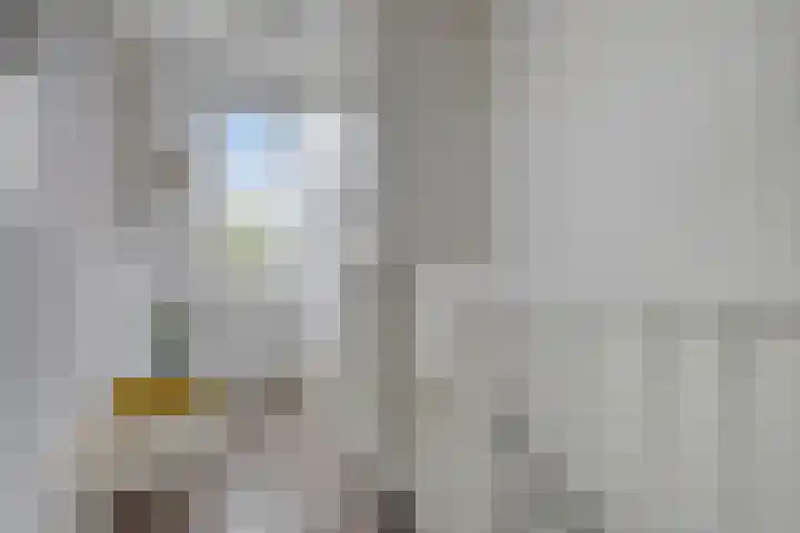 Willem Elsschotlaan 5 Roosendaal thumbnail 30