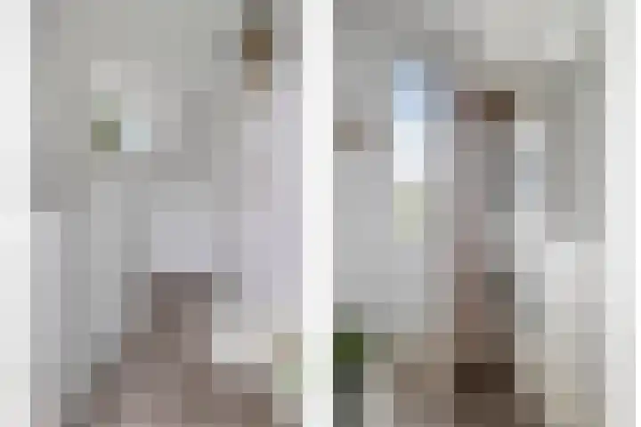 Willem Elsschotlaan 5 Roosendaal thumbnail 31