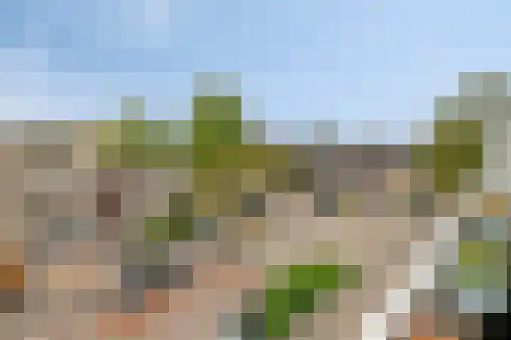 Willem Elsschotlaan 5 Roosendaal thumbnail 37