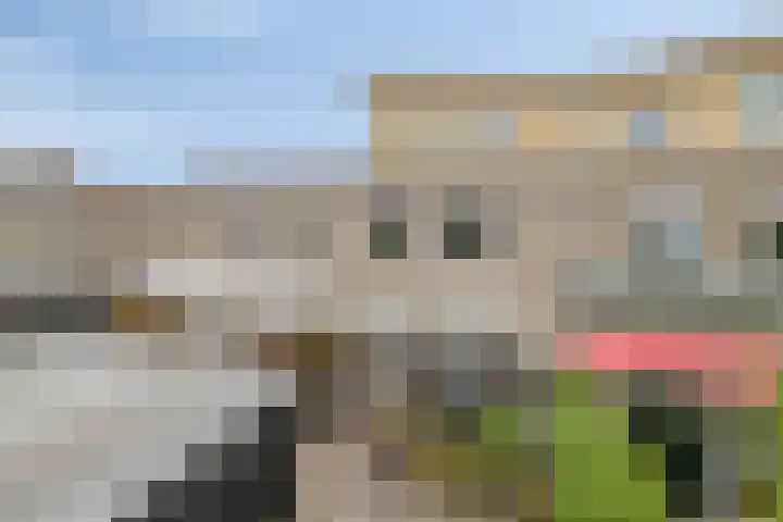 Willem Elsschotlaan 5 Roosendaal thumbnail 38