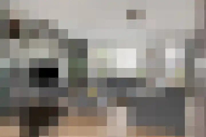 Willem Elsschotlaan 5 Roosendaal thumbnail 4