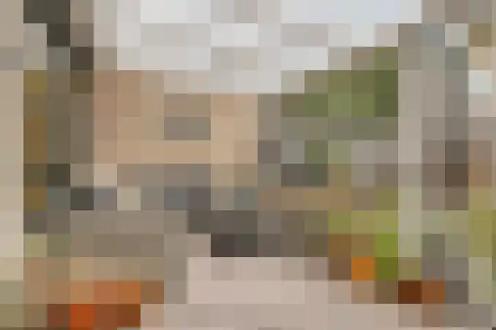 Willem Elsschotlaan 5 Roosendaal thumbnail 40