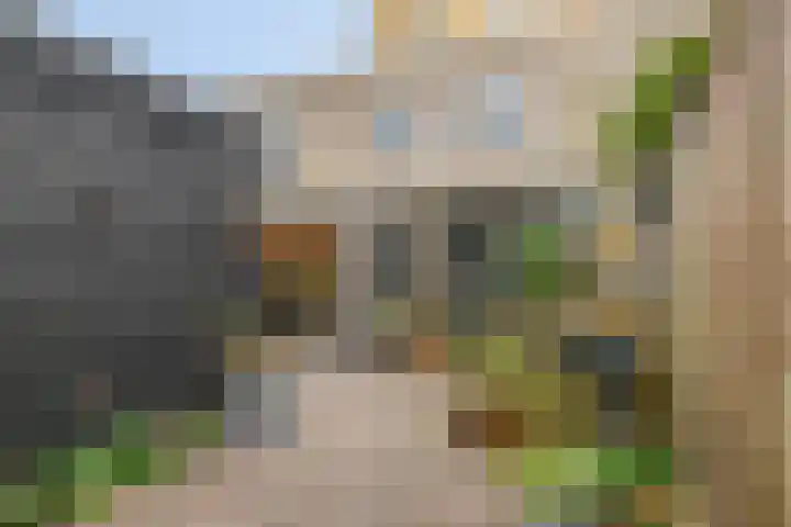 Willem Elsschotlaan 5 Roosendaal thumbnail 42