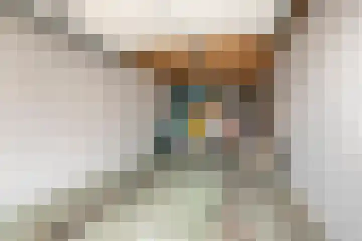 Willem Elsschotlaan 5 Roosendaal thumbnail 48