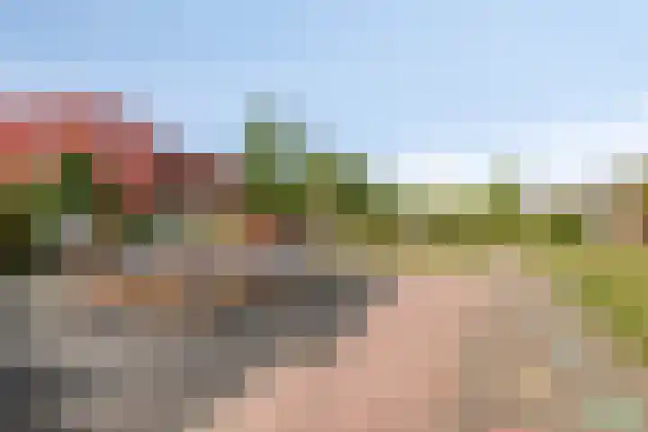 Willem Elsschotlaan 5 Roosendaal thumbnail 52