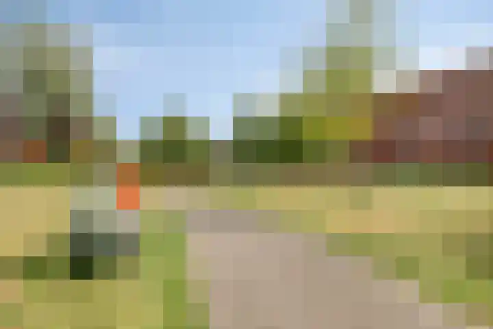 Willem Elsschotlaan 5 Roosendaal thumbnail 53