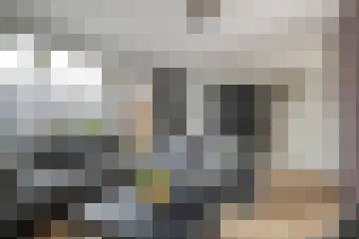 Willem Elsschotlaan 5 Roosendaal thumbnail 6