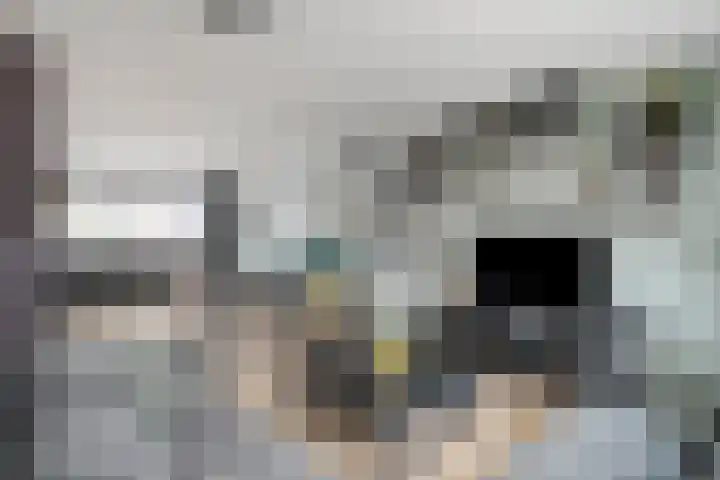Willem Elsschotlaan 5 Roosendaal thumbnail 8