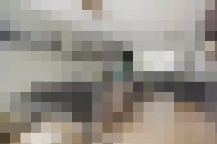 Willem Elsschotlaan 5 Roosendaal thumbnail 9