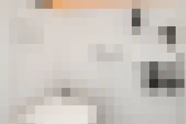 Willem Elsschotsingel 13 Hillegom thumbnail 12