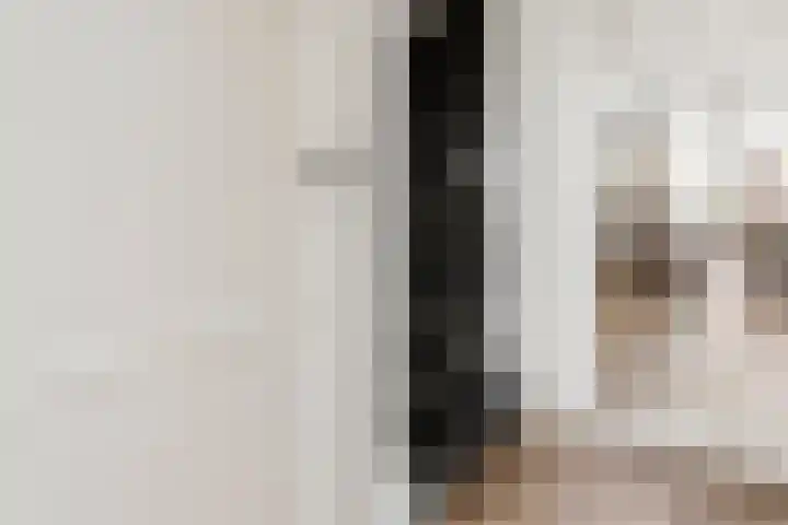 Willem Elsschotsingel 13 Hillegom thumbnail 13
