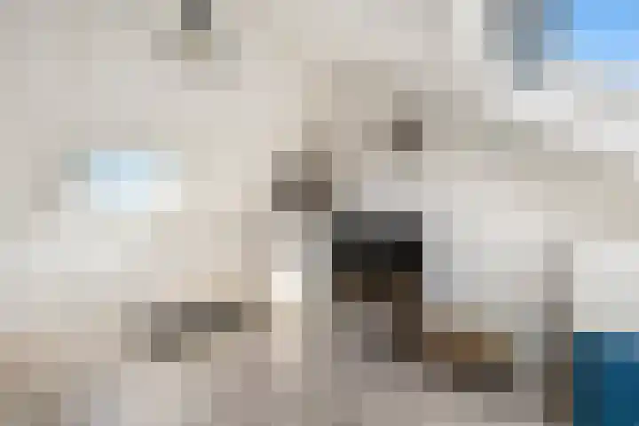 Willem Elsschotsingel 13 Hillegom thumbnail 26
